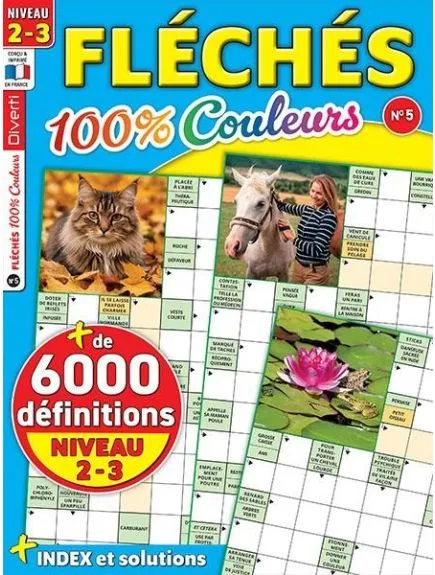 FLECHES 100 % COULEURS