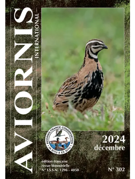 AVIORNIS INTERNATIONAL FRANCE