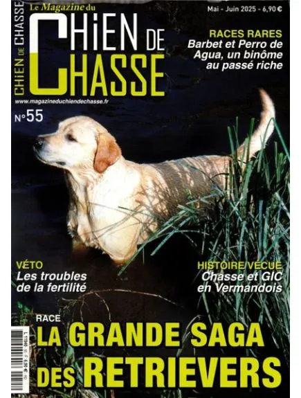 CHIEN DE CHASSE
