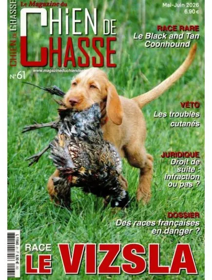 CHIEN DE CHASSE