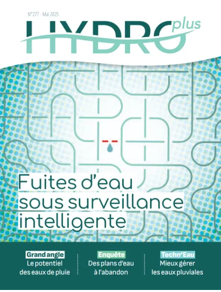 HYDROPLUS