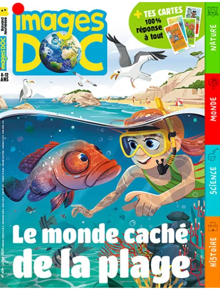 IMAGES DOC