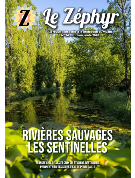 LE ZEPHYR