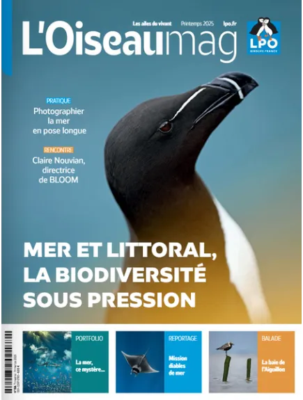 L'OISEAU MAG