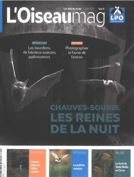 L'OISEAU MAG