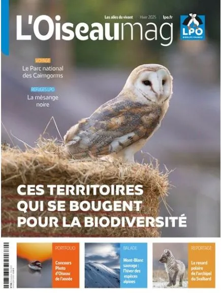 L'OISEAU MAG