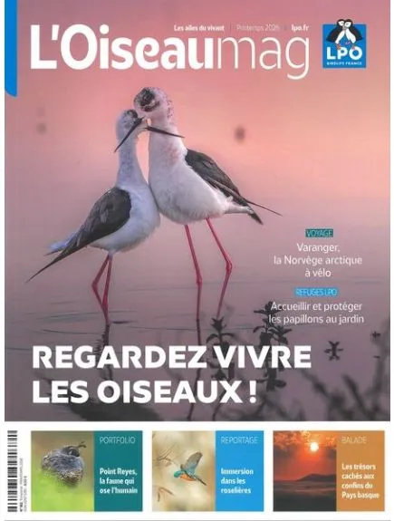 L'OISEAU MAG