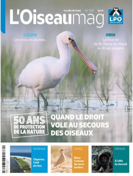L'OISEAU MAG