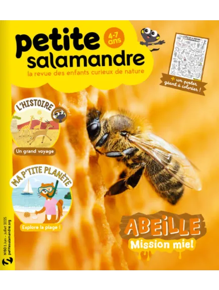 PETITE SALAMANDRE