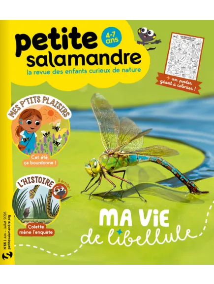 PETITE SALAMANDRE
