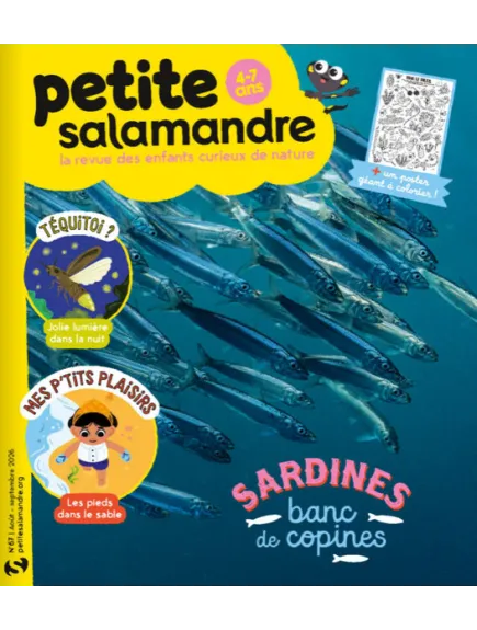 PETITE SALAMANDRE