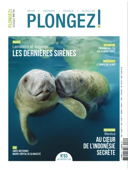 PLONGEZ !