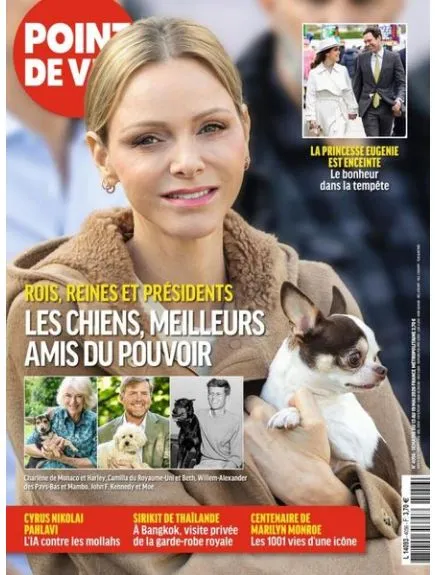 POINT DE VUE