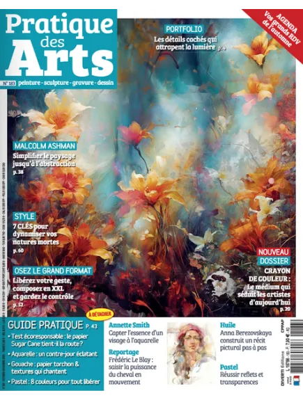 PRATIQUE DES ARTS