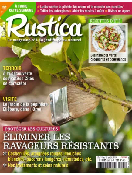 RUSTICA