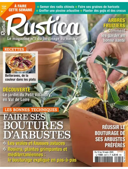 RUSTICA