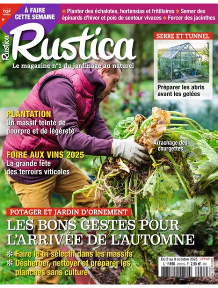 RUSTICA