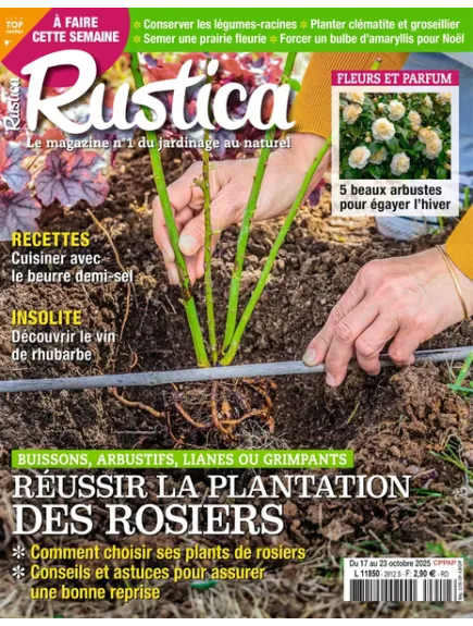 RUSTICA