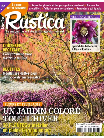 RUSTICA