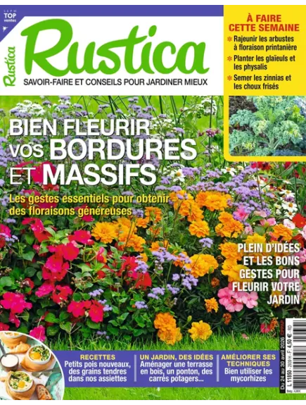 RUSTICA