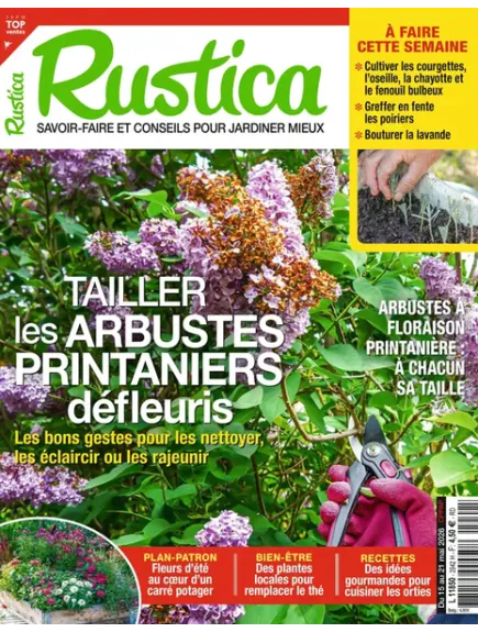 RUSTICA