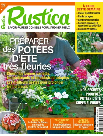 RUSTICA