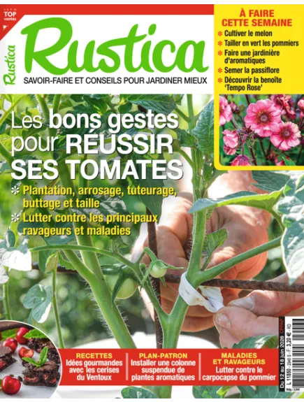 RUSTICA