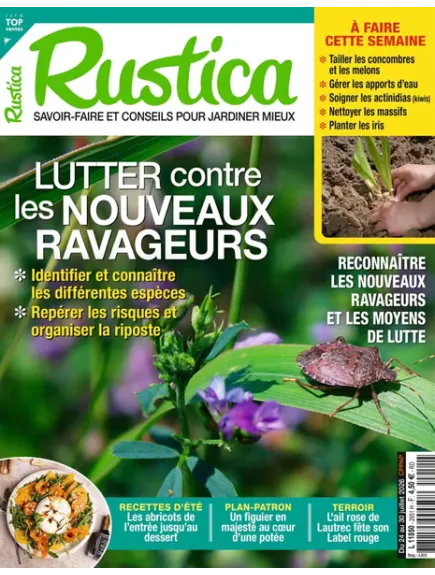 RUSTICA