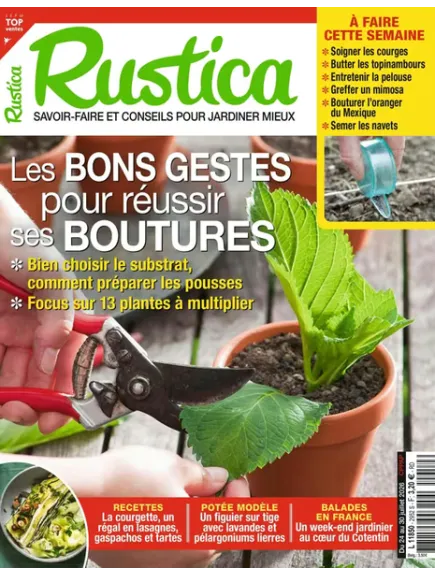 RUSTICA