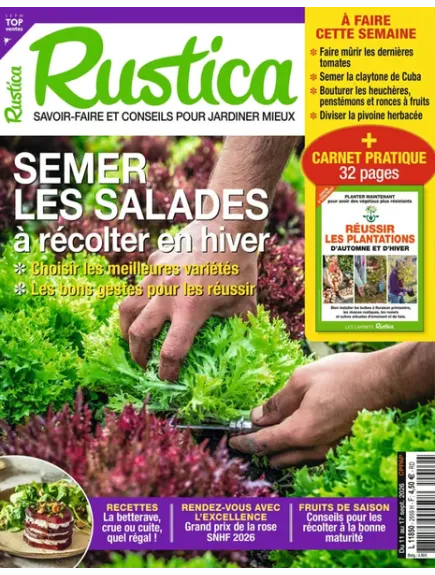 RUSTICA