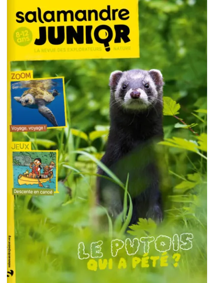 SALAMANDRE JUNIOR