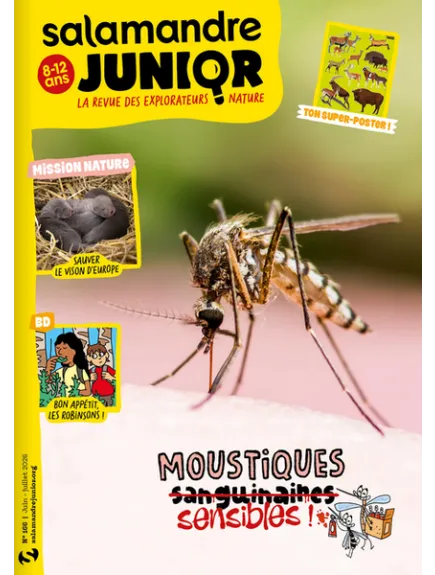 SALAMANDRE JUNIOR