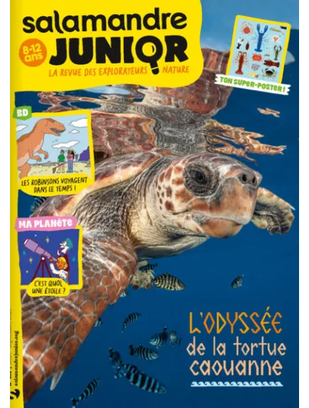 SALAMANDRE JUNIOR