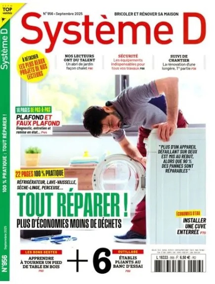 SYSTEME D