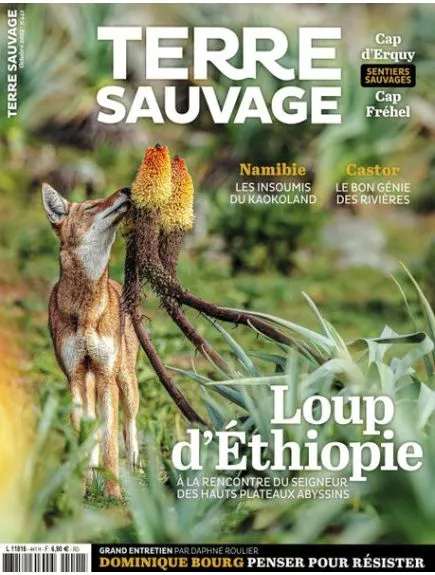 TERRE SAUVAGE