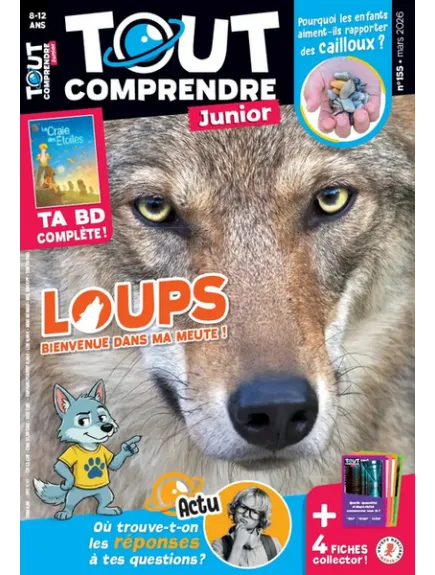 TOUT COMPRENDRE JUNIOR