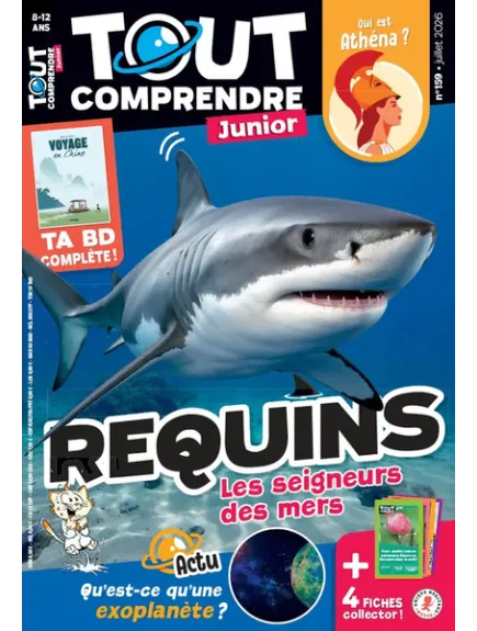 TOUT COMPRENDRE JUNIOR