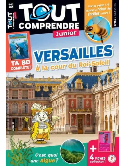TOUT COMPRENDRE JUNIOR