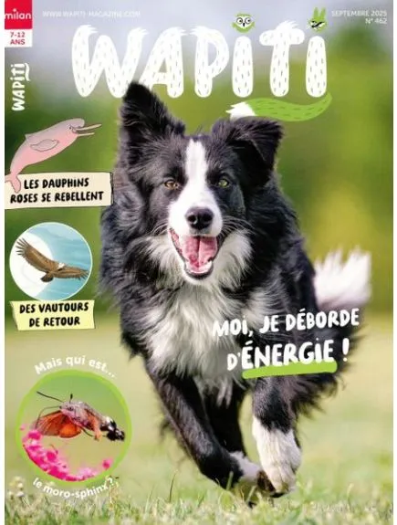 WAPITI