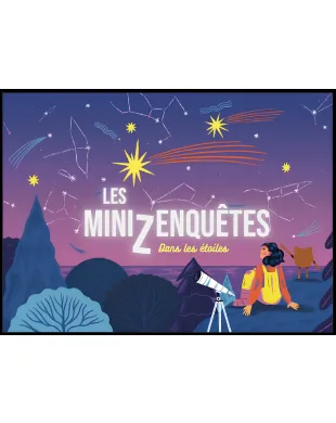 LES MINIZENQUETES