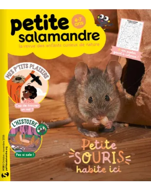 PETITE SALAMANDRE