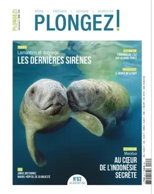 PLONGEZ !
