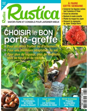 RUSTICA