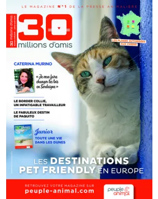 30 MILLIONS D AMIS