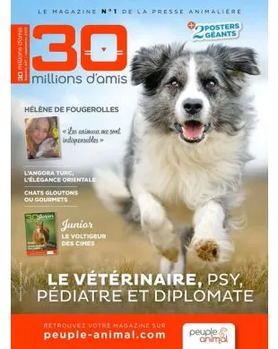 30 MILLIONS D AMIS