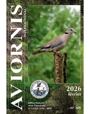 AVIORNIS INTERNATIONAL FRANCE