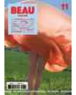 BEAU MAGAZINE