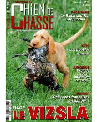 CHIEN DE CHASSE