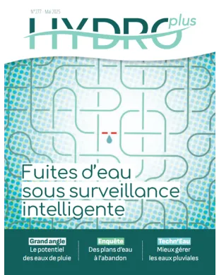 HYDROPLUS
