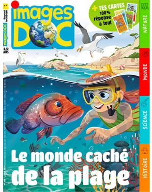 IMAGES DOC